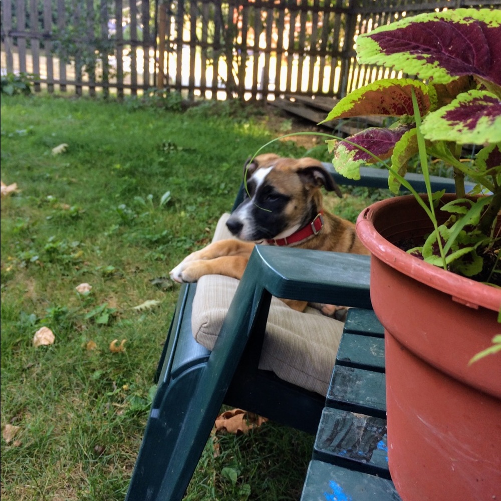 Meet your Posher, Rory